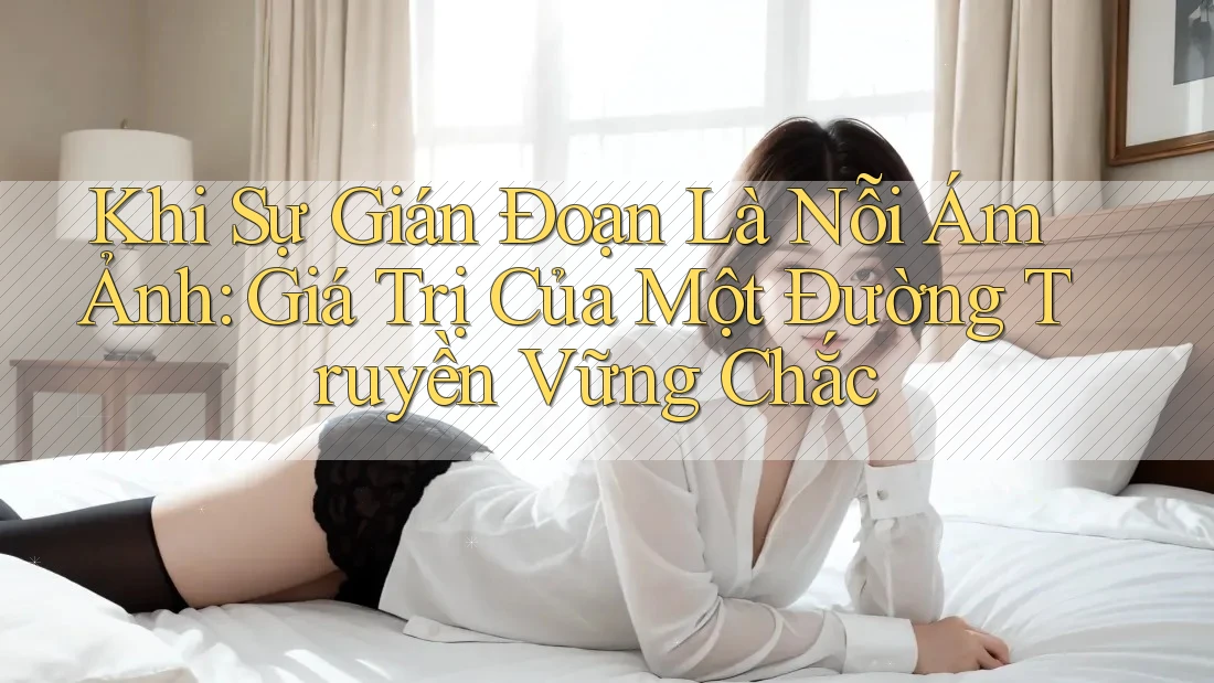 Khi Sự Gián Đoạn Là Nỗi Ám Ảnh: Giá Trị Của Một Đường Truyền Vững Chắc