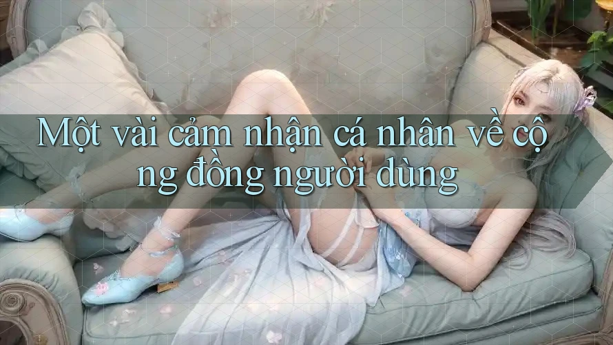 Một vài cảm nhận cá nhân về cộng đồng người dùng