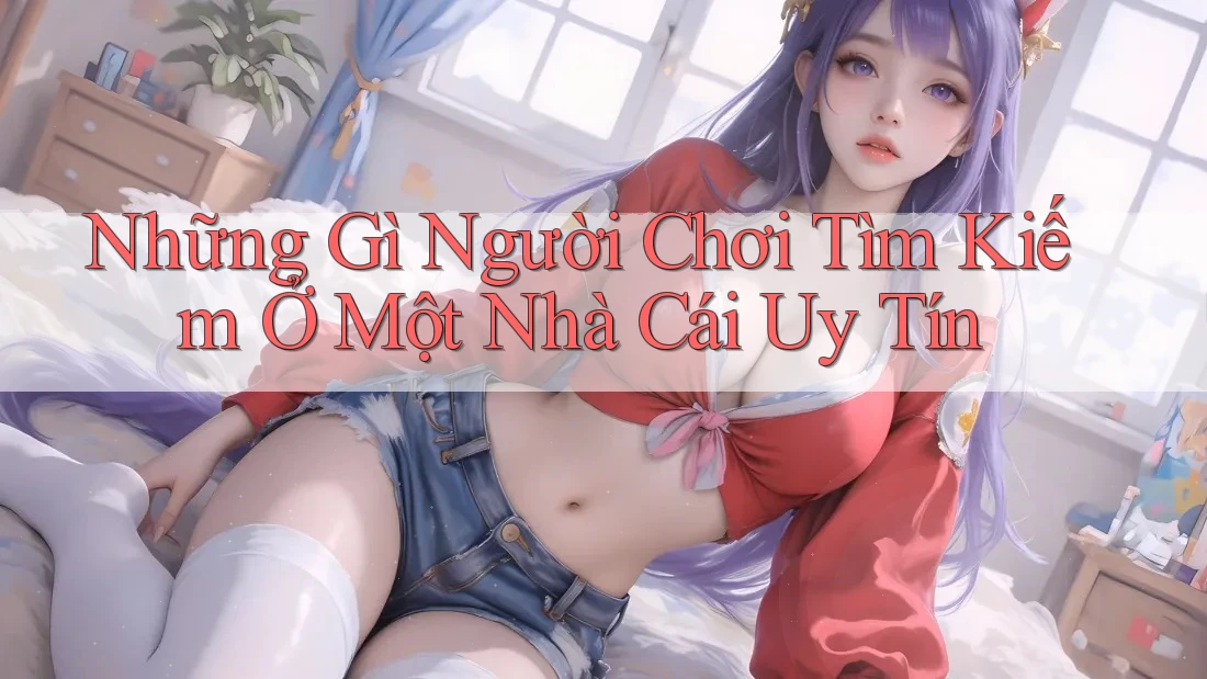 Những Gì Người Chơi Tìm Kiếm Ở Một Nhà Cái Uy Tín