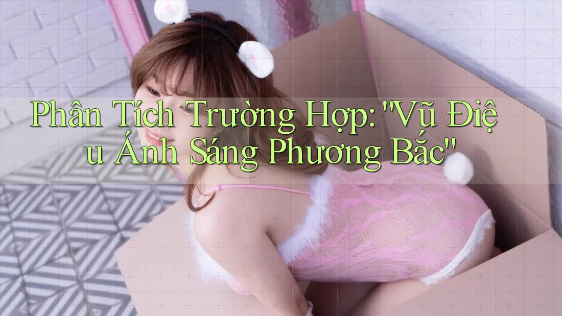 Phân Tích Trường Hợp: “Vũ Điệu Ánh Sáng Phương Bắc”