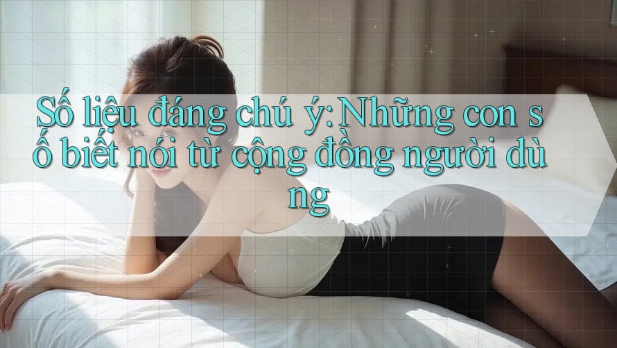 Số liệu đáng chú ý: Những con số biết nói từ cộng đồng người dùng