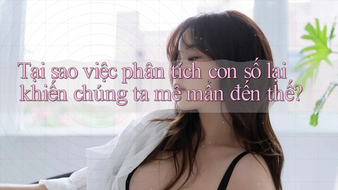 Tại sao việc phân tích con số lại khiến chúng ta mê mẩn đến thế?